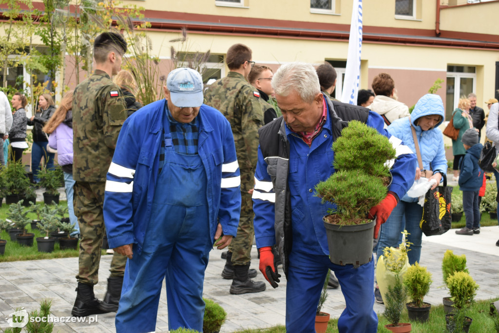 Zielony Sochaczew: pierwsza taka akcja w mieście