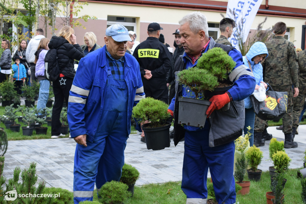 Zielony Sochaczew: pierwsza taka akcja w mieście