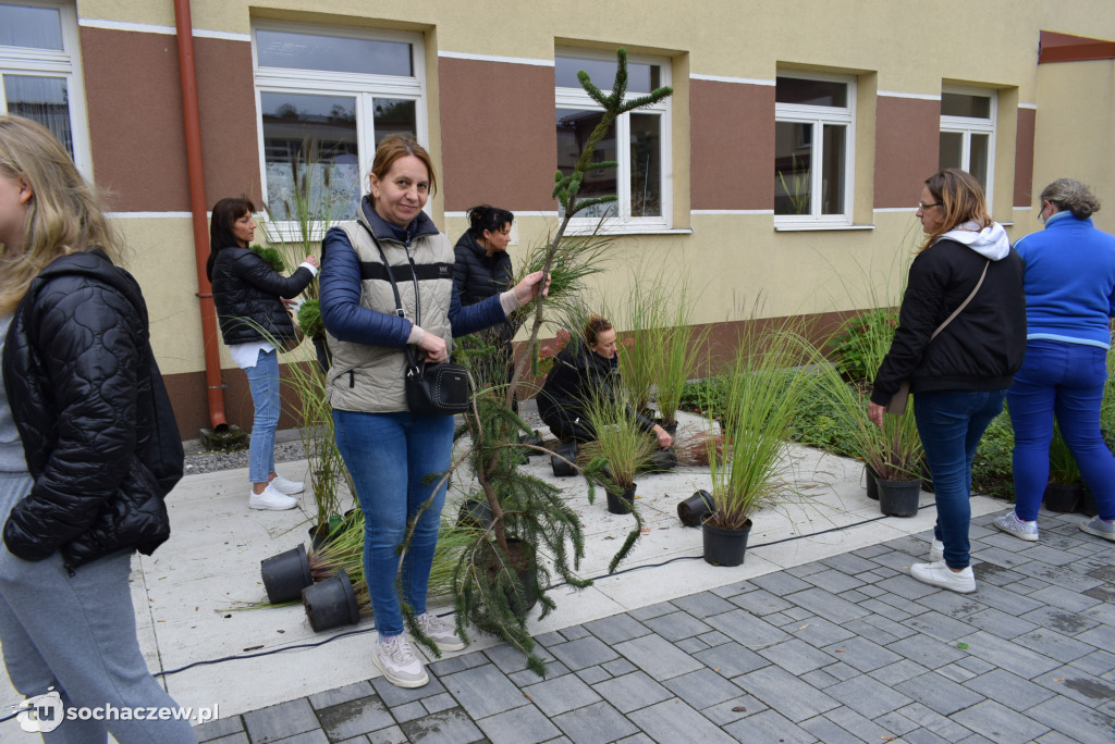 Zielony Sochaczew: pierwsza taka akcja w mieście