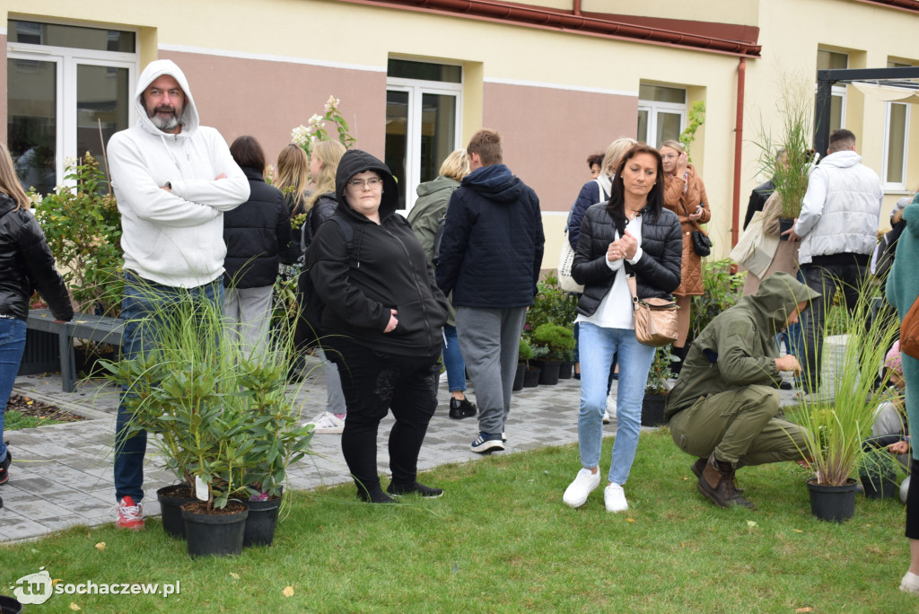 Zielony Sochaczew: pierwsza taka akcja w mieście