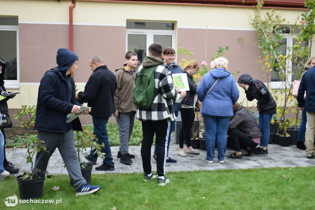 Zielony Sochaczew: pierwsza taka akcja w mieście