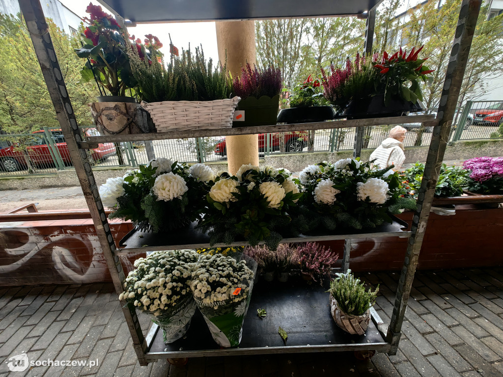 Przygotowania do Wszystkich Świętych w Sochaczewie