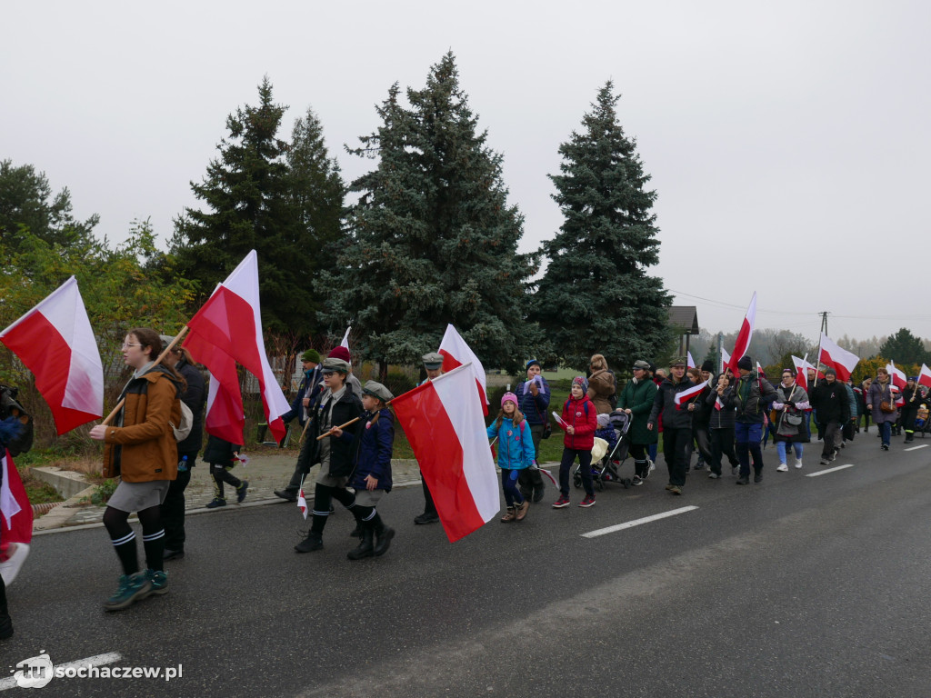 Święto Niepodległości w Teresinie