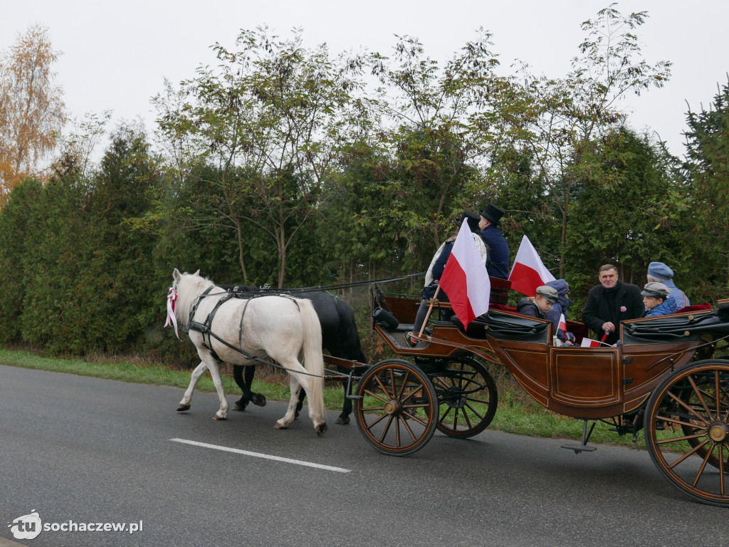 Święto Niepodległości w Teresinie