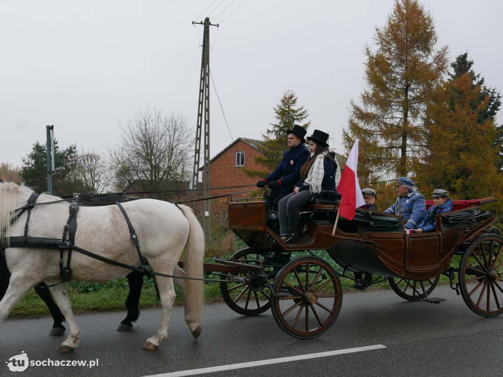 Święto Niepodległości w Teresinie