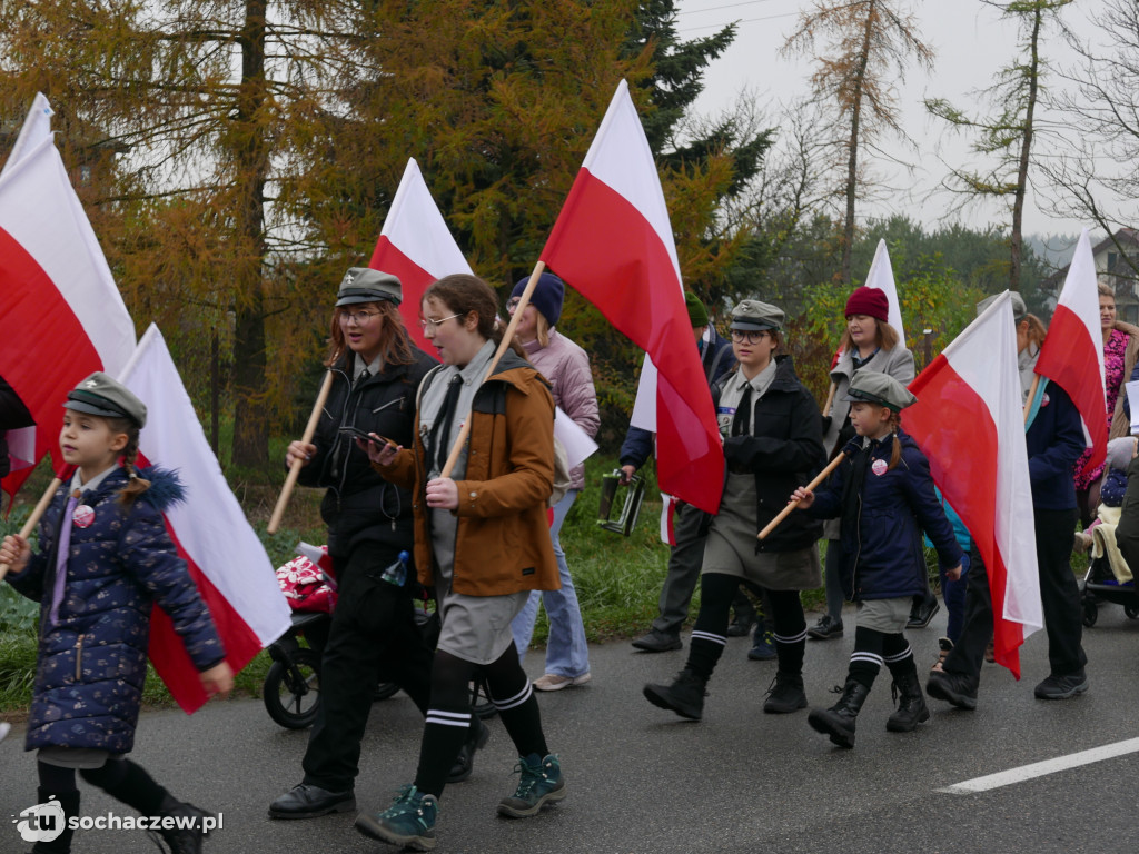 Święto Niepodległości w Teresinie