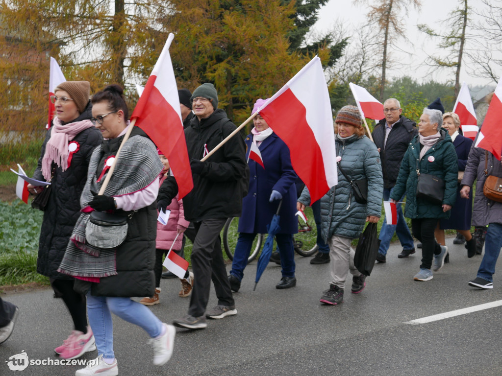 Święto Niepodległości w Teresinie