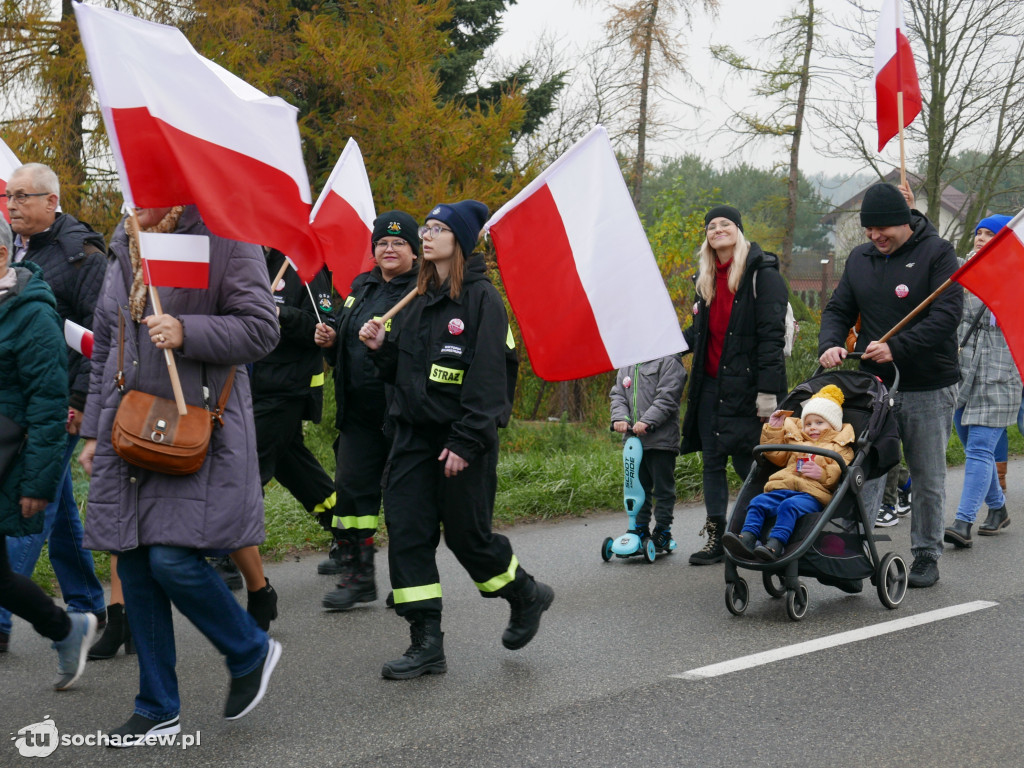 Święto Niepodległości w Teresinie