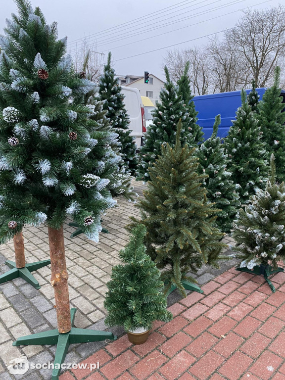 Świątecznie w Sochaczewie