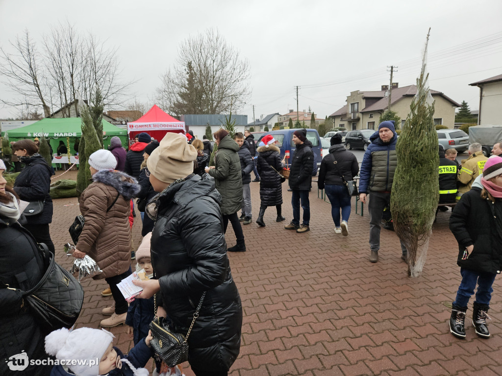 Akcja Choinka pod Choinkę w Młodzieszynie