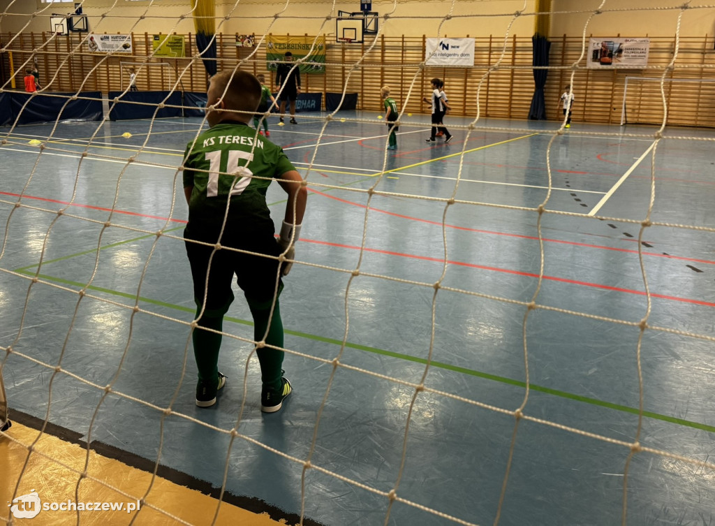 Teresin CUP 2024