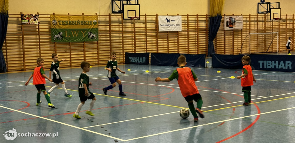 Teresin CUP 2024