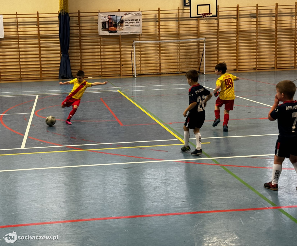Teresin CUP 2024