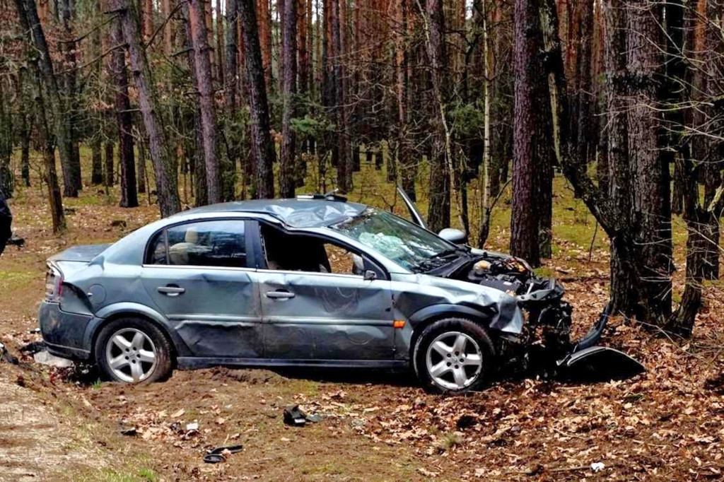 Wilcze Śladowskie: auto uderzyło w drzewo