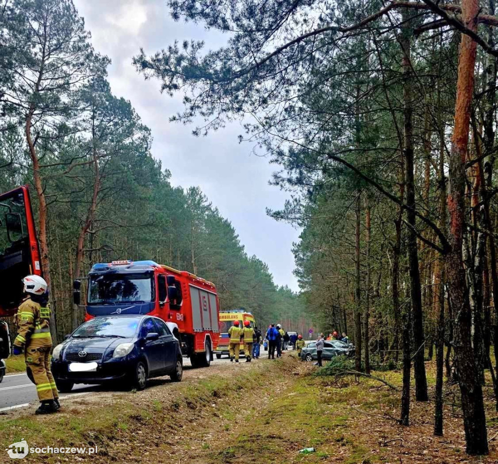 Wilcze Śladowskie: auto uderzyło w drzewo