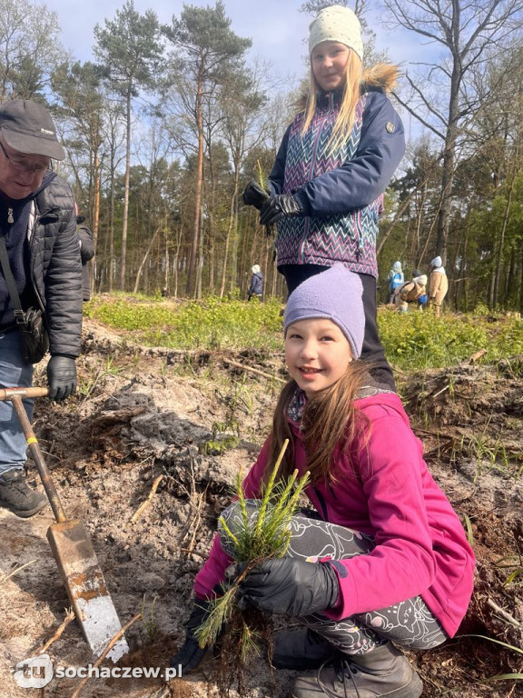 Akcja sadzenia drzew w Nadleśnictwie Radziwiłłów