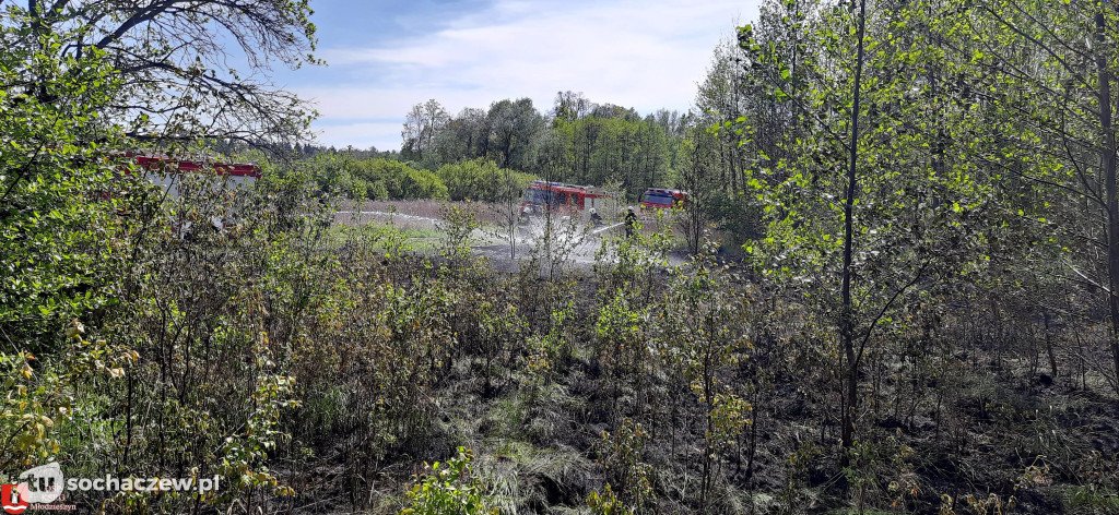 Pożar mebli i trawy w Skutkach