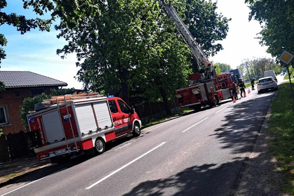 OSP Feliksów pomaga kotu na drzewie