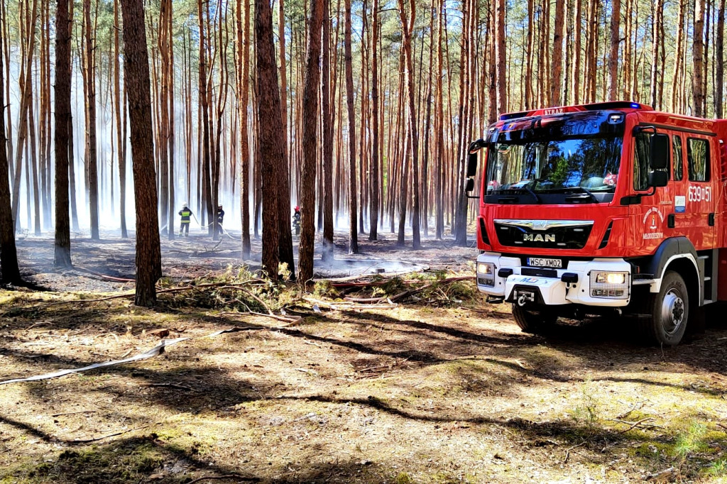 Pożar lasu w Leontynowie
