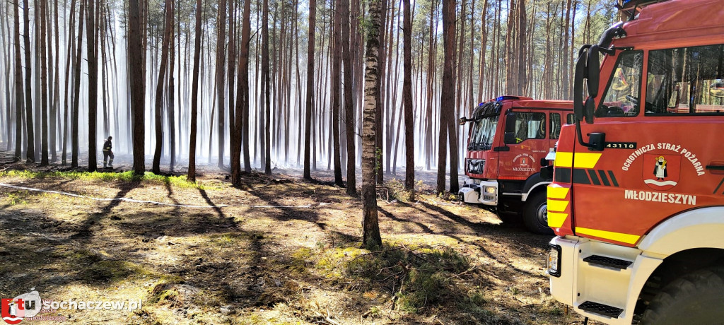 Pożar lasu w Leontynowie