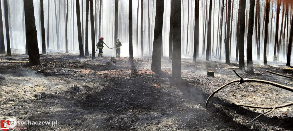Pożar lasu w Leontynowie