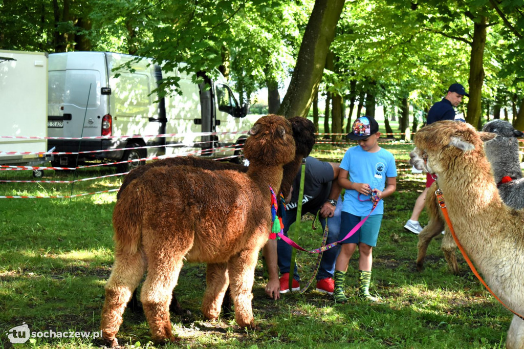 Dzień Dziecka w ECA w Sannikach