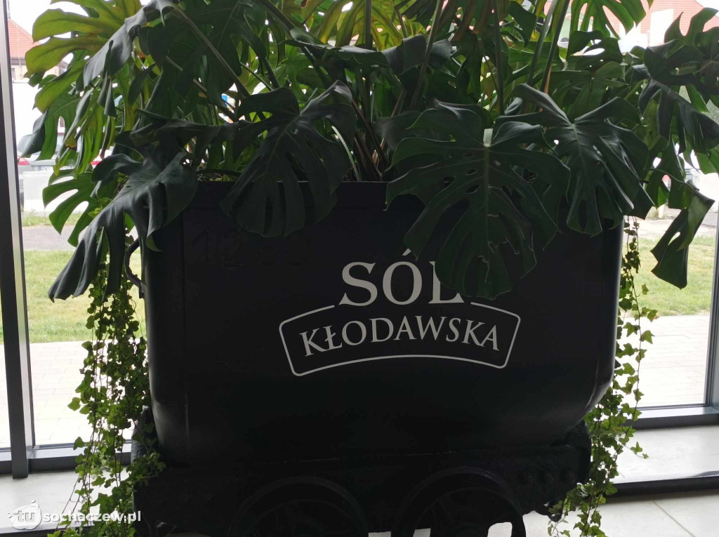 Wakacje z GOK i Biblioteką w Iłowie