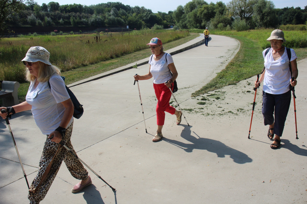 Sochaczewski Marsz Nordic Walking