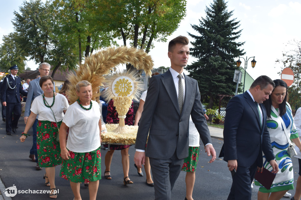 Dożynki powiatowe w Iłowie