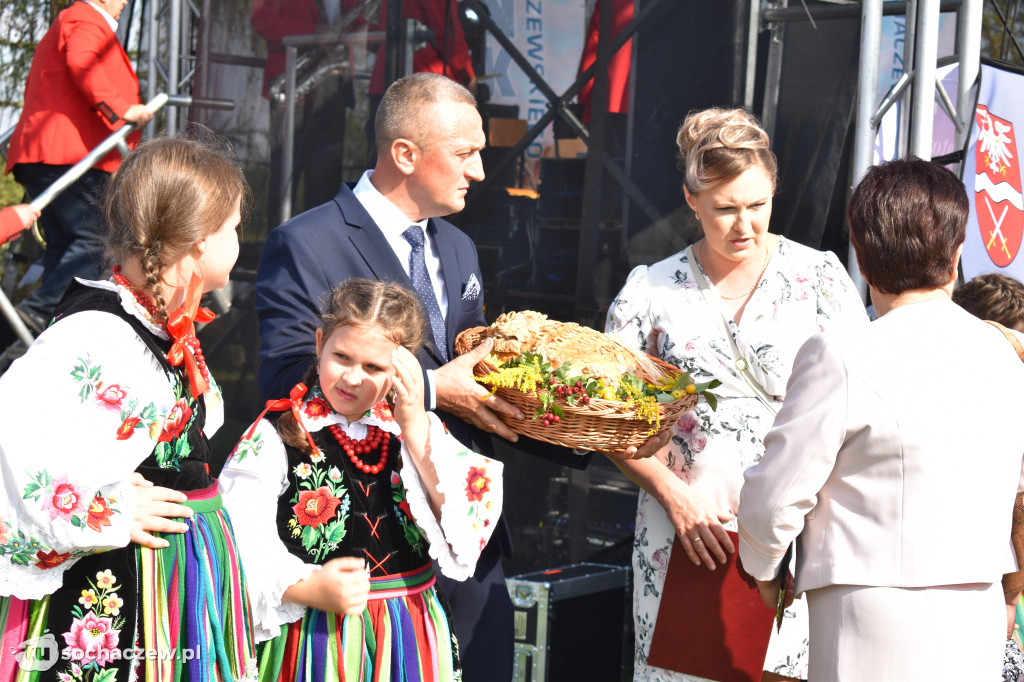 Dożynki powiatowe w Iłowie