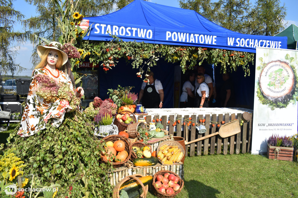 Dożynki powiatowe w Iłowie