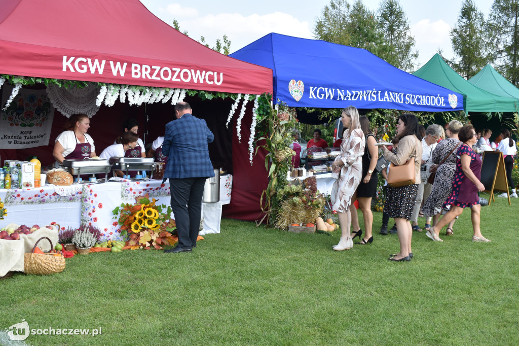 Dożynki powiatowe w Iłowie