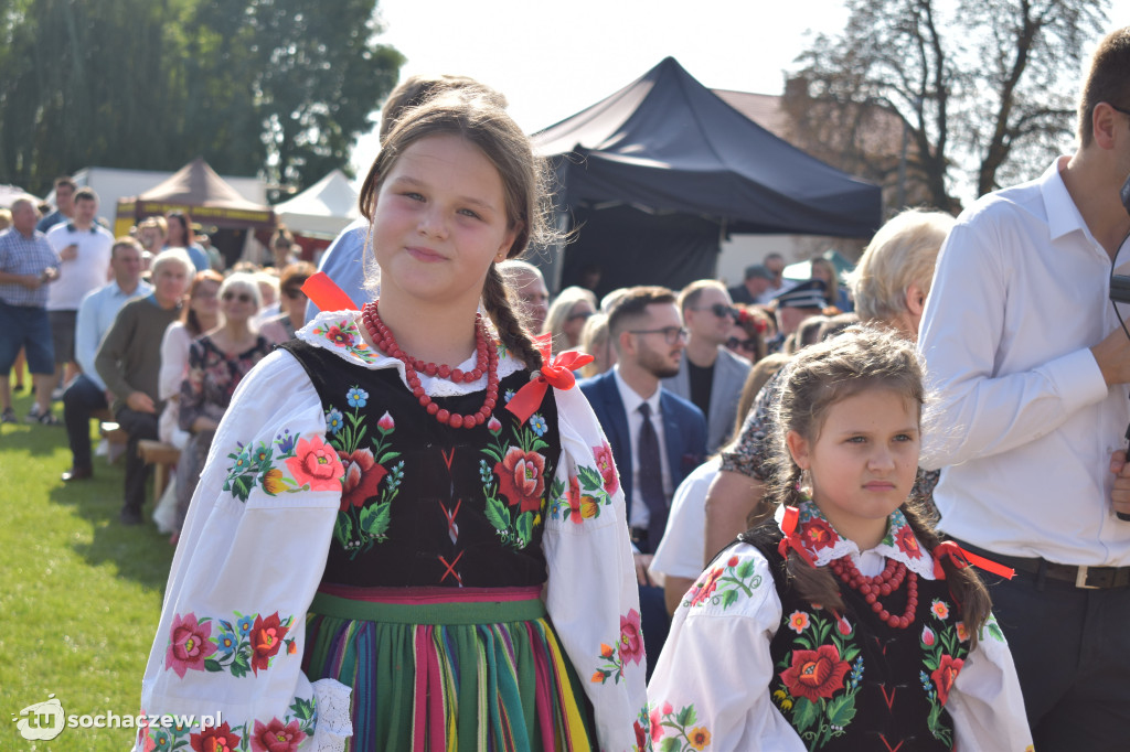 Dożynki powiatowe w Iłowie