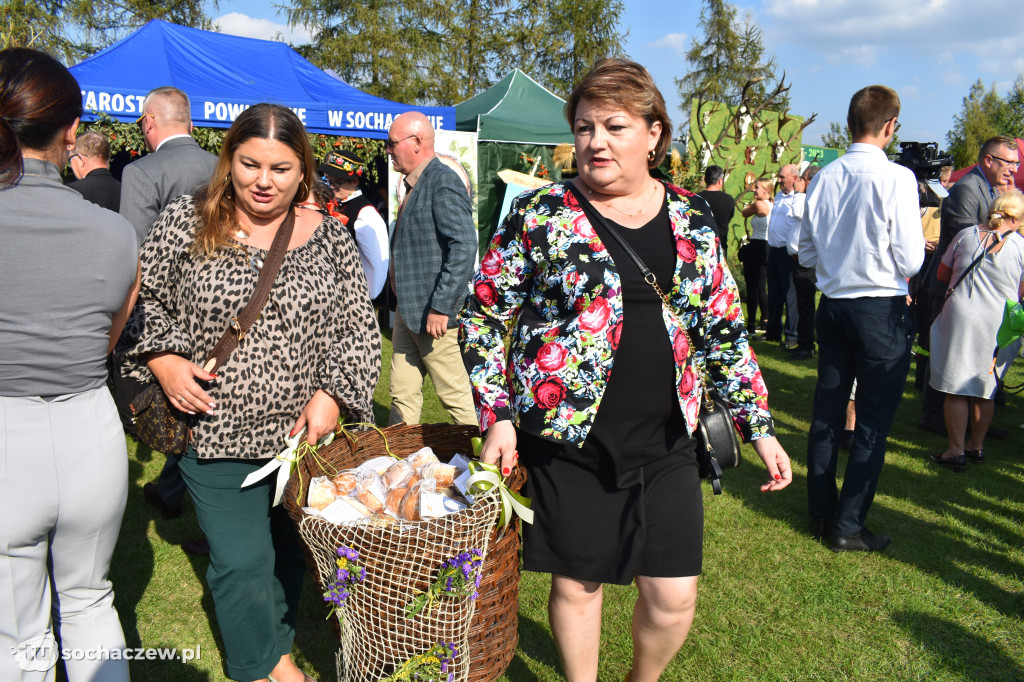 Dożynki powiatowe w Iłowie