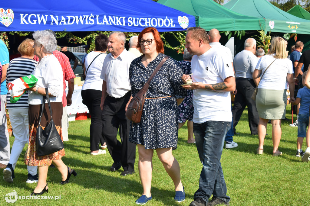 Dożynki powiatowe w Iłowie
