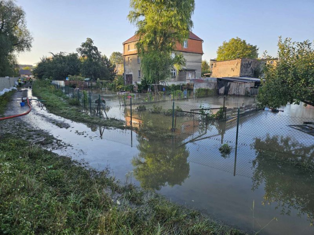 Druhowie z gminy Sochaczew na miejscu powodzi