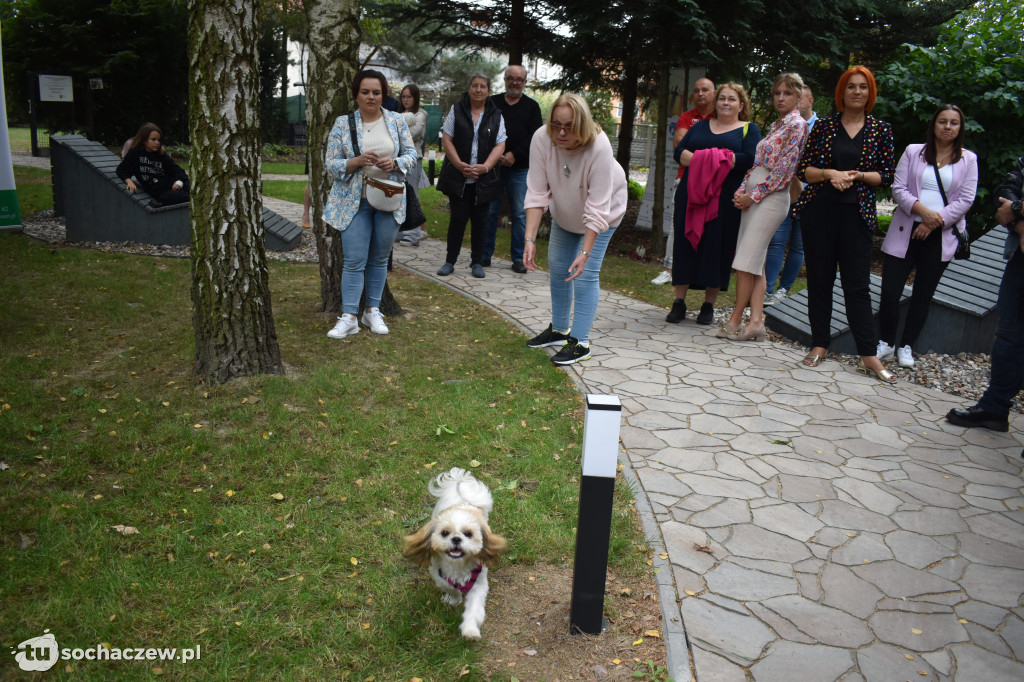 Piknik integracyjny w Atrii i Antaresie