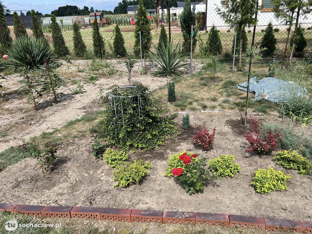 Najładniejsze ogrody w Gminie Rybno