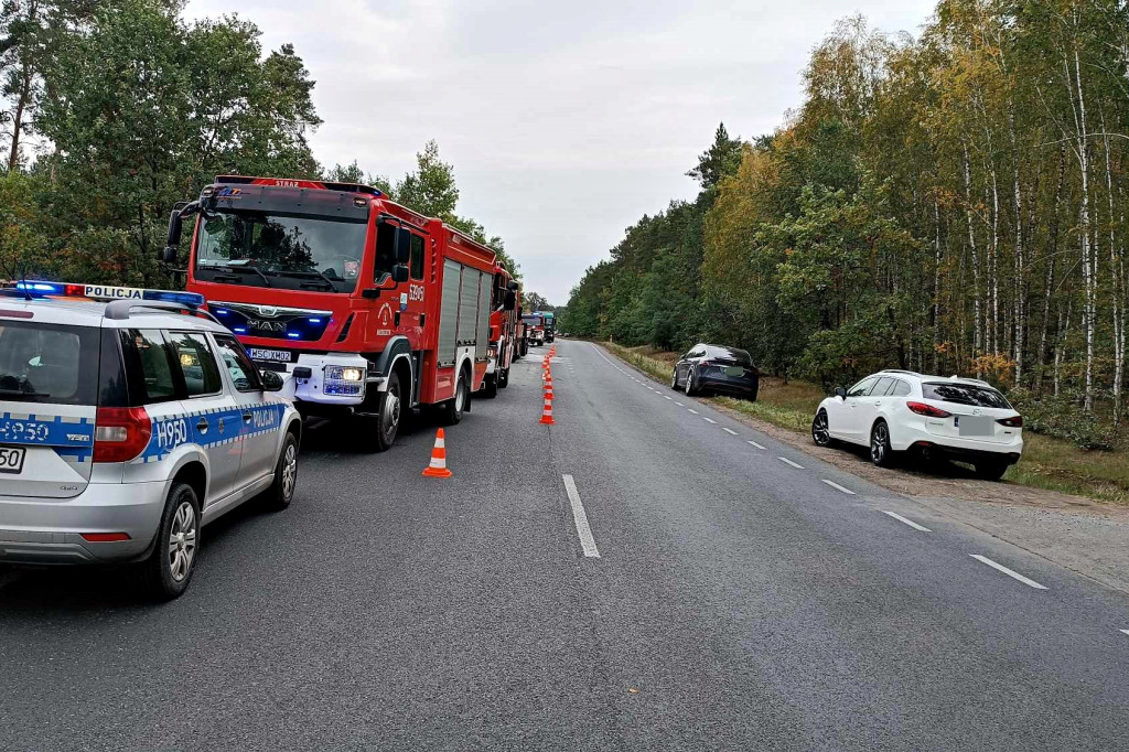 Nietypowe zdarzenie na DK 50 w Radziwiłce