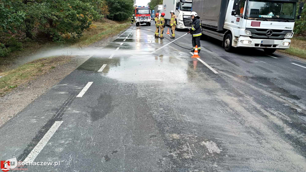 Nietypowe zdarzenie na DK 50 w Radziwiłce