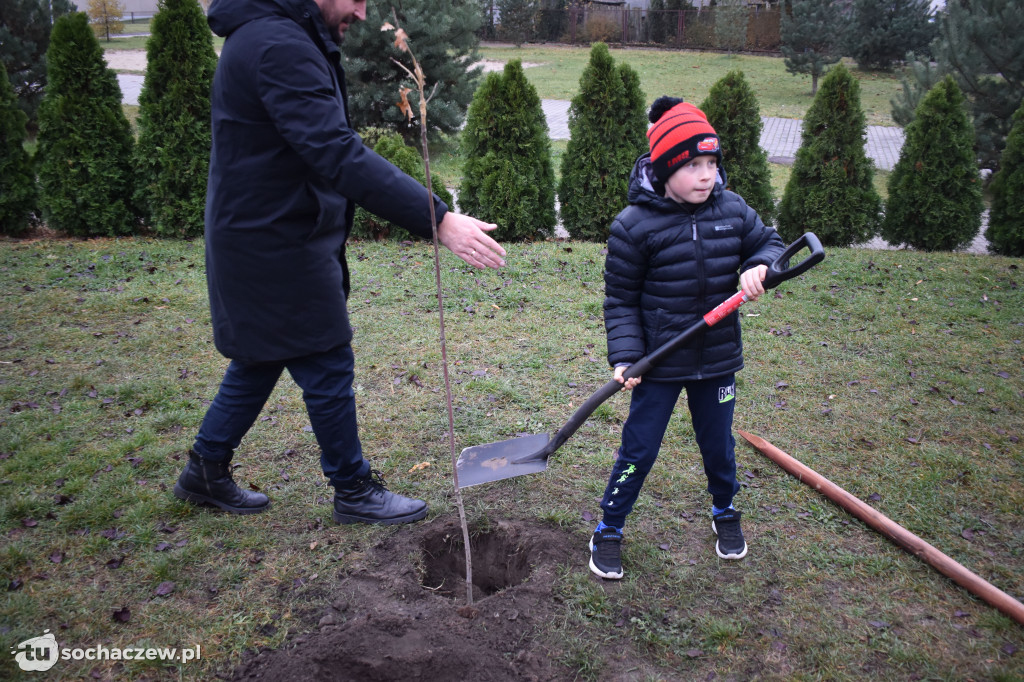 Akcja Rośniemy Razem rozpoczęta