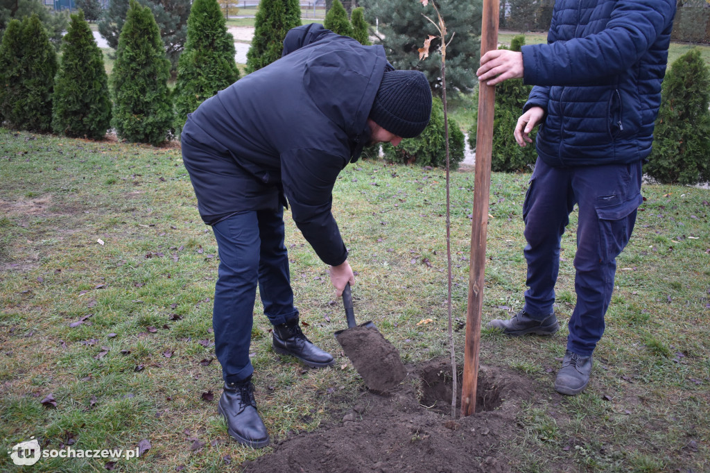 Akcja Rośniemy Razem rozpoczęta