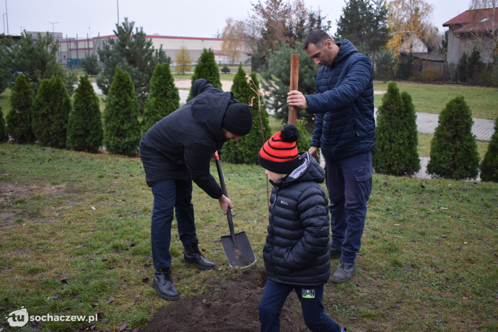 Akcja Rośniemy Razem rozpoczęta