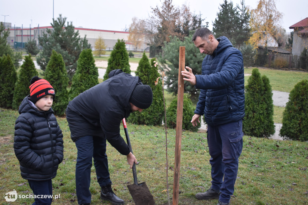 Akcja Rośniemy Razem rozpoczęta