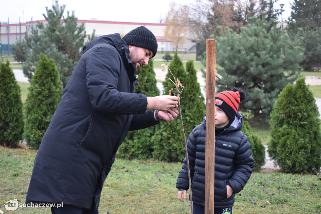 Akcja Rośniemy Razem rozpoczęta