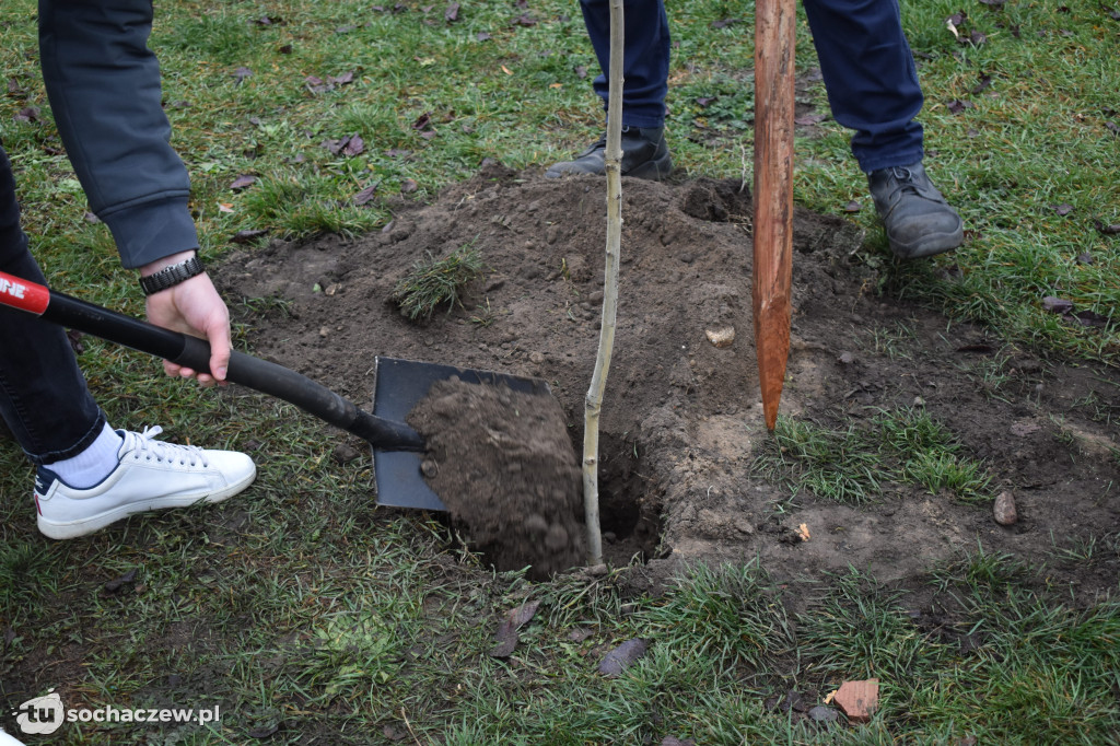 Akcja Rośniemy Razem rozpoczęta