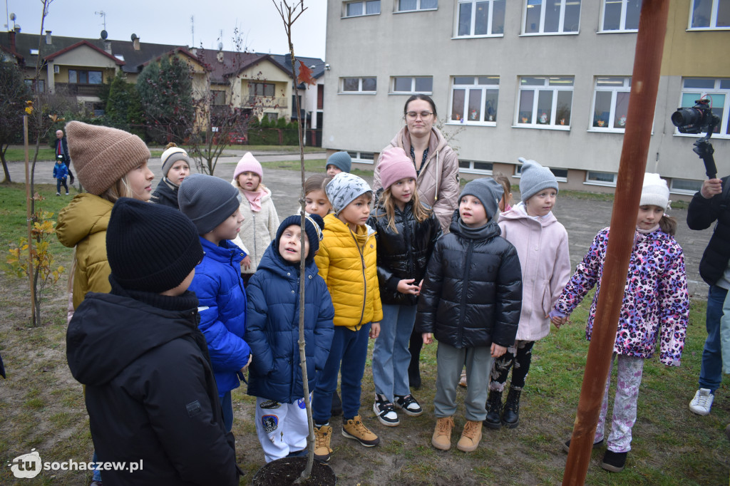 Akcja Rośniemy Razem rozpoczęta