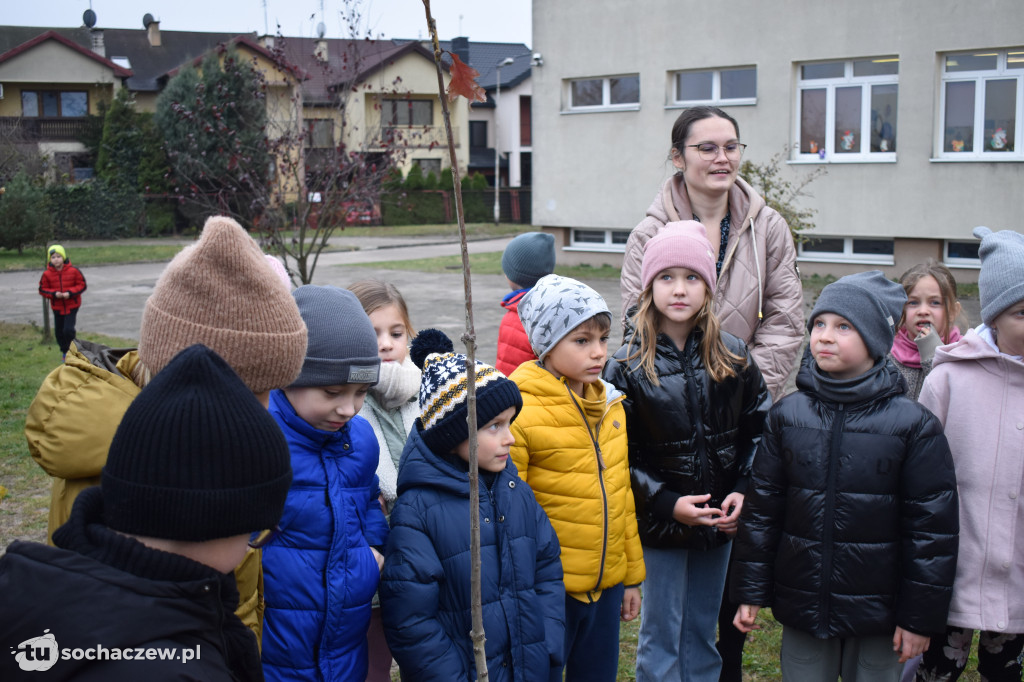 Akcja Rośniemy Razem rozpoczęta