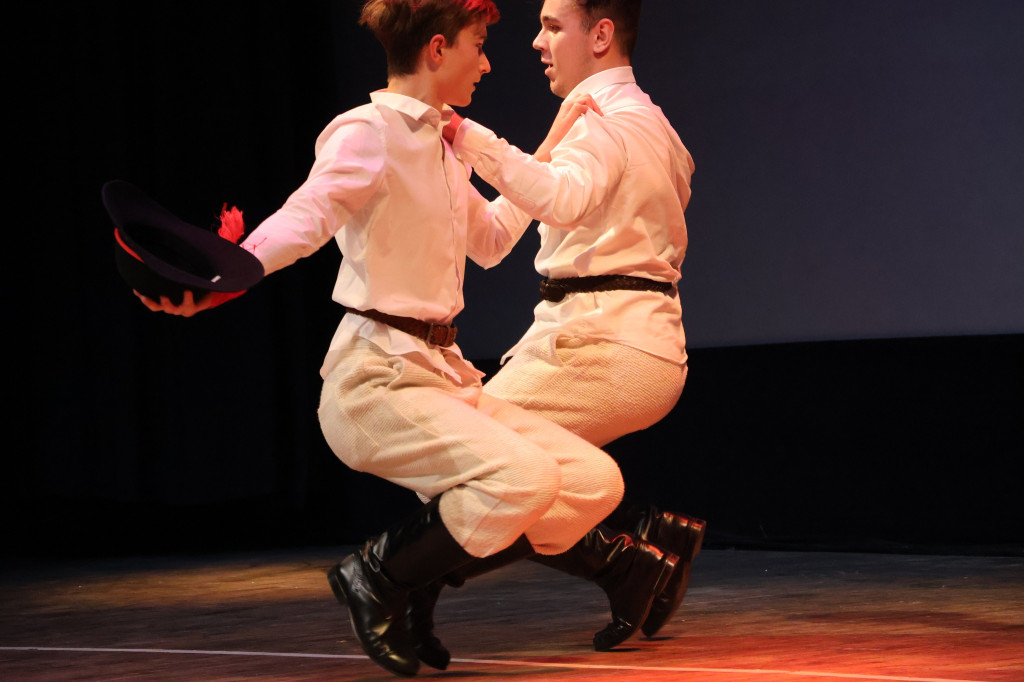 Gala na Dzień Osób z Niepełnosprawnością