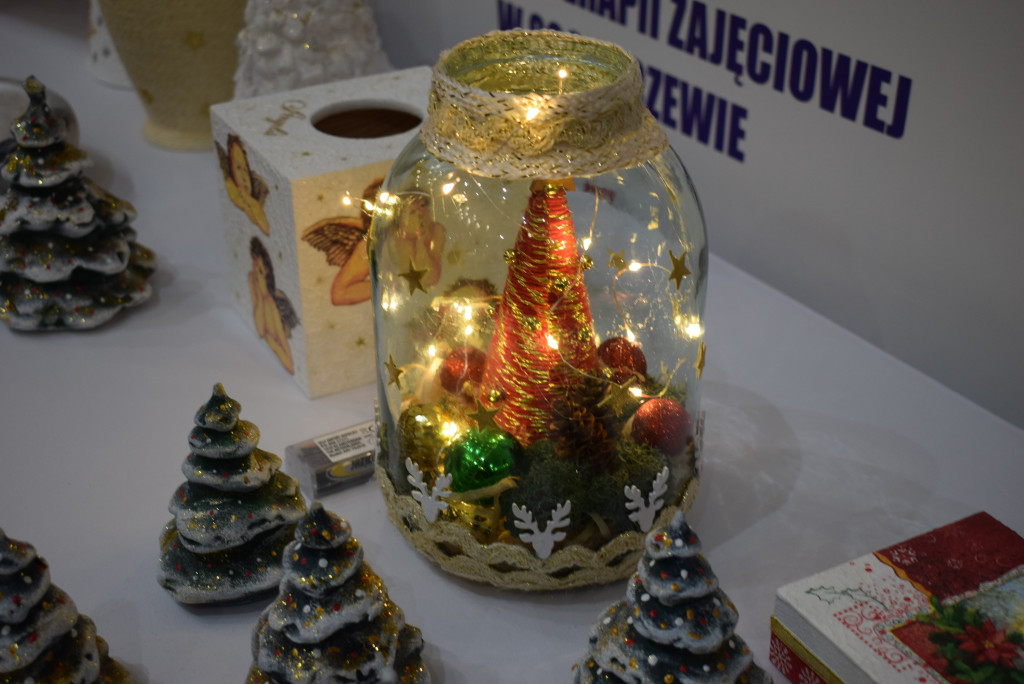 Gala na Dzień Osób z Niepełnosprawnością